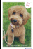 My Goldendoodle Journal: 6x9 Inch Blank Lined Notebook Diary for My Snuggle Dog