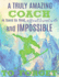 A Truly Amazing Coach is Hard to Find, Difficult to Part With and Impossible to Forget: Thank You Appreciation Gift for Snowboarding Coaches: Notebook...| Diary for World's Best Snowboard Coach