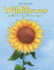 Wildflower a Book for Every Age