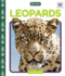 Leopards