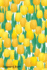 Password Book: Include Alphabetical Index With Yellow Tulips Seamless Pattern