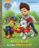 Marshall to the Rescue! (Paw Patrol) (Big Golden Book)
