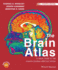 The Brain Atlas: a Visual Guide to the Human Central Nervous System