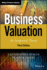 Business Valuation: an Integrated Theory (Wiley Series in Finance)