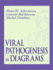 Viral Pathogenesis in Diagrams