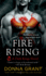Fire Rising (Dark Kings Novels): a Dark Kings Novel: 2