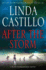 After the Storm: a Kate Burkholder Novel (Kate Burkholder, 7)