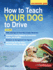 How to Teach Your Dog to Drive: the Essential Guide