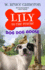 Lily to the Rescue: Dog Dog Goose (Lily to the Rescue! , 4)