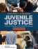 Juvenile Justice: a Social, Historical, and Legal Perspective: a Social, Historical, and Legal Perspective