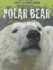 Polar Bear: Killer King of the Arctic (Top of the Food Chain)