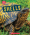 Shells (Learn About: Animal Coverings)