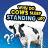 Why Do Cows Sleep Standing Up? (Amazing Animal Q&as)