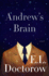 Andrew's Brain: a Novel