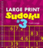 Large Print Sudoku #3