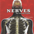 Nerves: the Nervous System (Body Works)