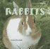 Rabbits