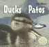 Ducks/Patos (Baby Animals) (English and Spanish Edition)