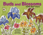 Buds and Blossoms: a Book About Flowers (Growing Things)