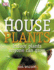 Houseplants: Indoor Plants Anyone Can Grow