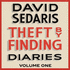 Theft By Finding Diaries