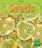 Seeds (Read & Learn: Plants)