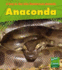 Anaconda (a Day in the Life: Rain Forest Animals)