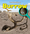 Burrow (Look Inside)