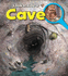 Cave (Look Inside)