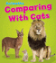 Comparing With Cats (Animaths)