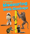 Measuring With Monkeys (Animaths)