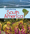 Introducing South America (Introducing Continents)