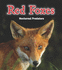 Red Foxes: Nocturnal Predators (Night Safari)