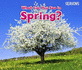 What Can You See in Spring? (Seasons)