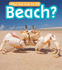 What Can Live at the Beach? (What Can Live There? )