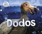 Dodos (Ice Age Animals)