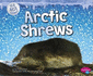 Arctic Shrews