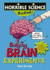 Bulging Brain Experiments (Horrible Science Handbooks)