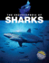 The Encyclopedia of Sharks