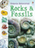 Naturetrails: Rocks and Fossils (Usborne Nature Trail)