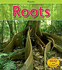 Roots