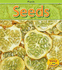 Seeds (Plants)