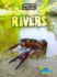 Rivers (Habitat Survival: Raintree Perspectives, Level P)