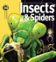 Insects & Spiders