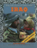 Iraq (Hot Spots of the Muslim World)