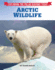 Arctic Wildlife