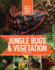 Jungle Bugs & Vegetation (Into the World's Amazing Jungles)