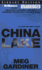 China Lake: an Evan Delaney Novel (Evan Delaney Series)
