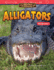 Amazing Animals: Alligators: Multiplication (Mathematics in the Real World)