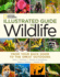 National Geographic Illustrated Guide to Wildlife: From Your Back Door to the Great Outdoors